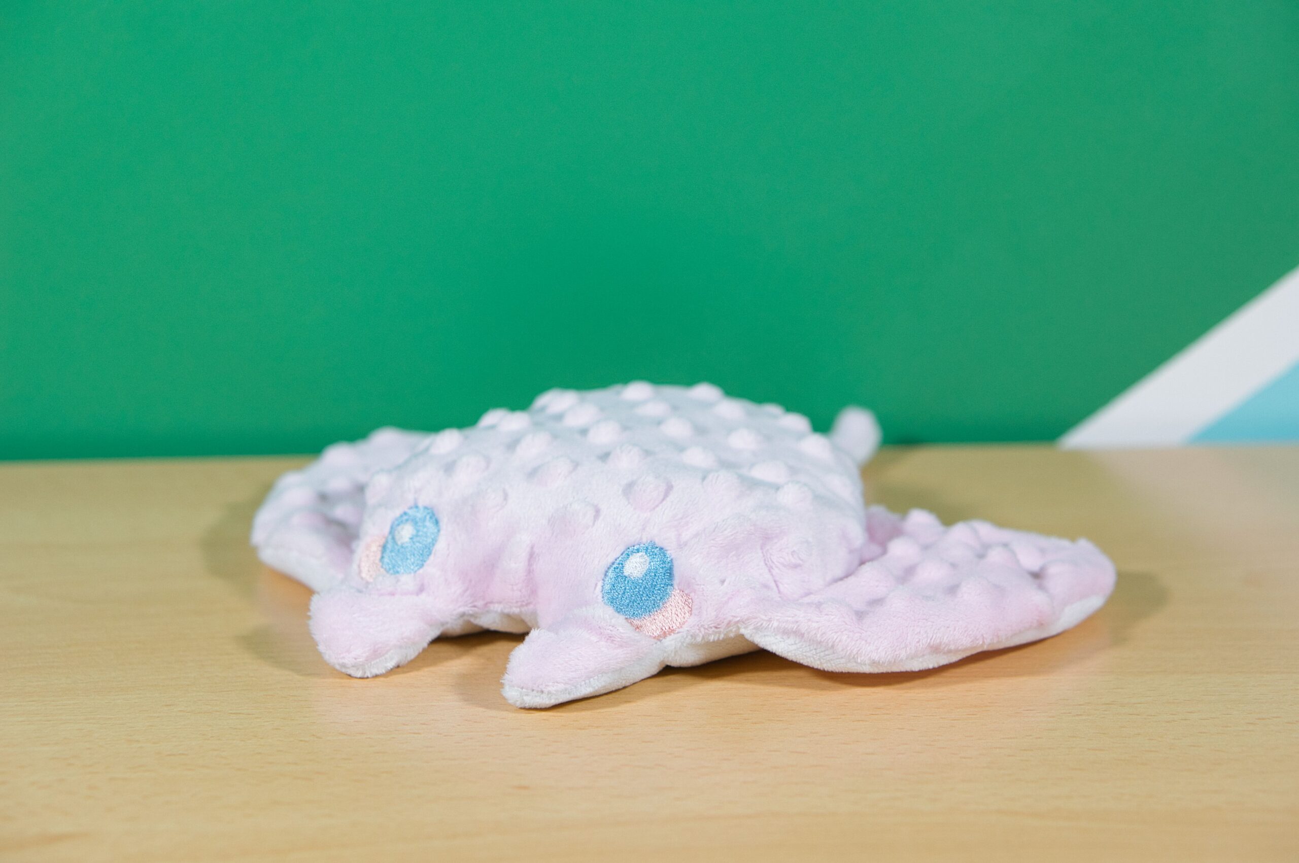 Raie bouillotte – Image 3