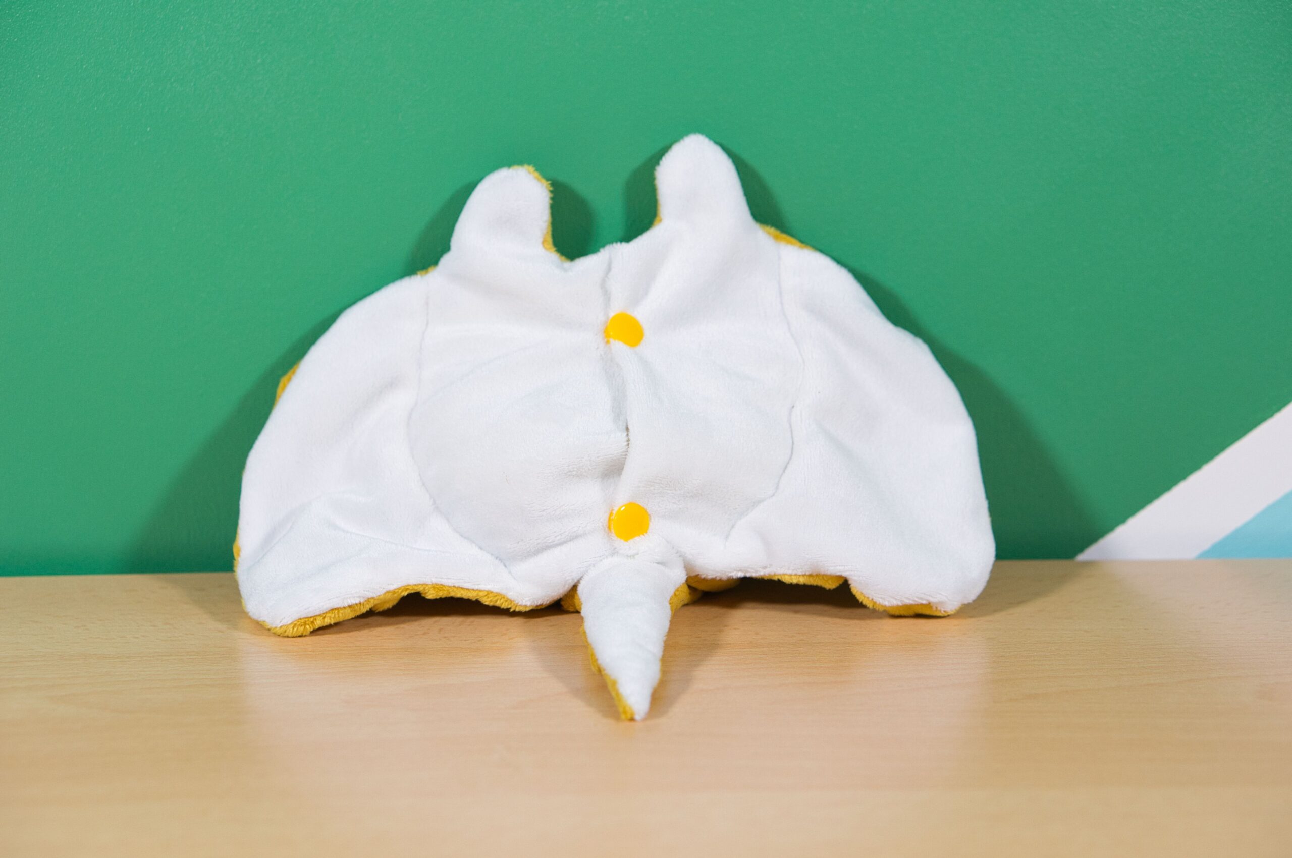 Raie bouillotte – Image 4